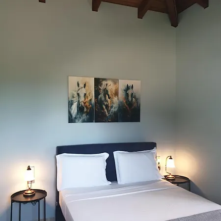 Apollonian Luxury Apartament Vasiliki